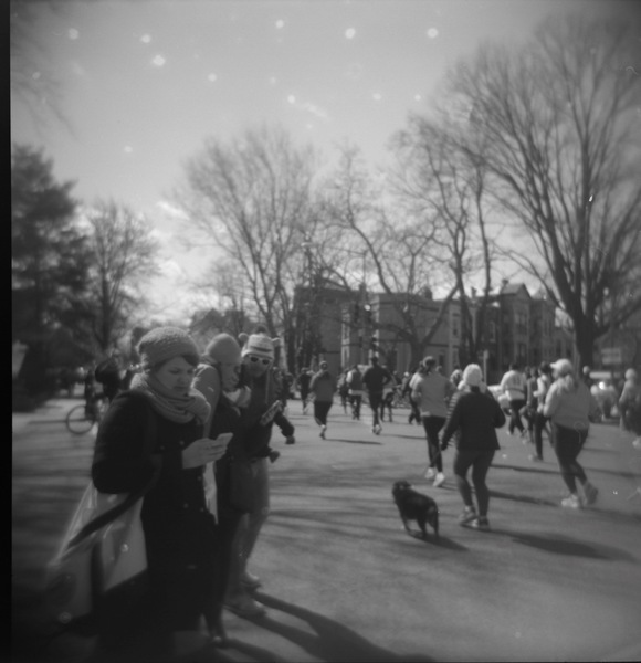 Small photo of Dogs running Rock and Roll Marathon