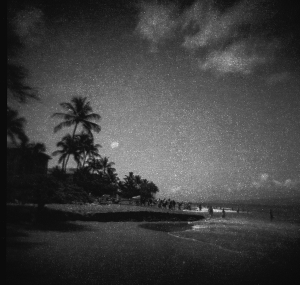 Small photo of Eroded Sand and Palm Trees at Kahekili