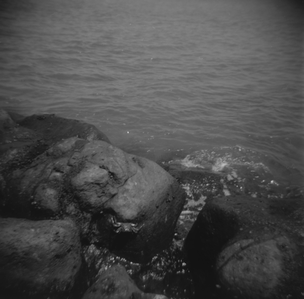 Small photo of Crab on Rock Jetty at Kihei Beach
