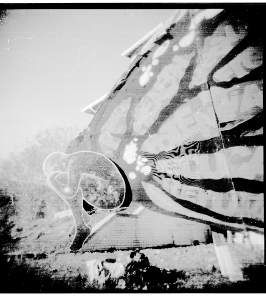 Small photo of A butterfly-like statue in front of the Sasha Bruce House