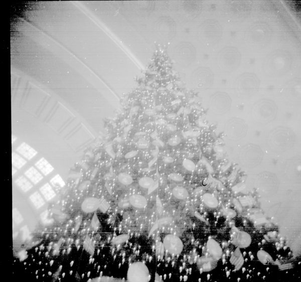 Small photo of XMas Tree inside Union Station