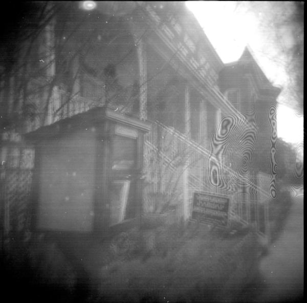 Small photo of Little Free Library on D St